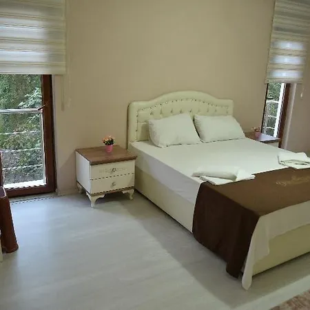 Hotel Defne Gold